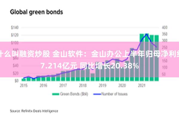 什么叫融资炒股 金山软件：金山办公上半年归母净利约7.214亿元 同比增长20.38%