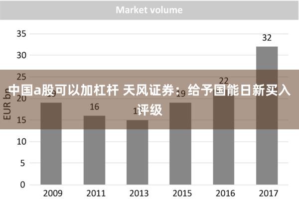 中国a股可以加杠杆 天风证券：给予国能日新买入评级