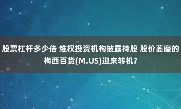 股票杠杆多少倍 维权投资机构披露持股 股价萎靡的梅西百货(M.US)迎来转机?