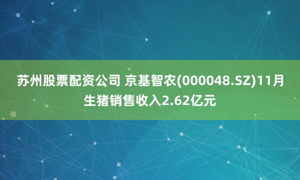 苏州股票配资公司 京基智农(000048.SZ)11月生猪销售收入2.62亿元