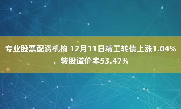 专业股票配资机构 12月11日精工转债上涨1.04%，转股溢价率53.47%