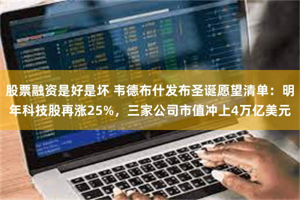 股票融资是好是坏 韦德布什发布圣诞愿望清单：明年科技股再涨25%，三家公司市值冲上4万亿美元