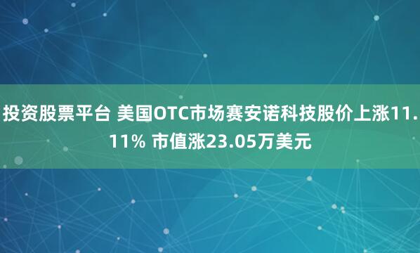 投资股票平台 美国OTC市场赛安诺科技股价上涨11.11% 市值涨23.05万美元