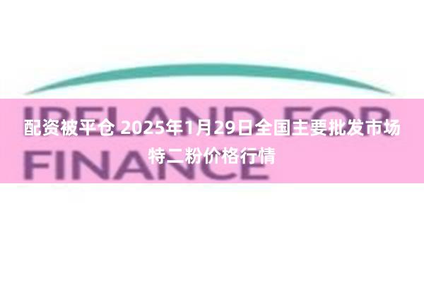 配资被平仓 2025年1月29日全国主要批发市场特二粉价格行情