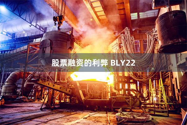 股票融资的利弊 BLY22