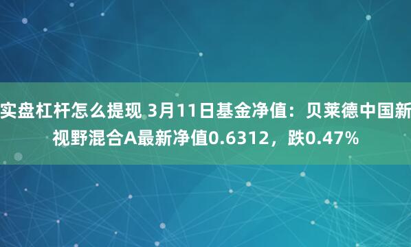 实盘杠杆怎么提现 3月11日基金净值：贝莱德中国新视野混合A最新净值0.6312，跌0.47%