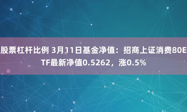 股票杠杆比例 3月11日基金净值：招商上证消费80ETF最新净值0.5262，涨0.5%